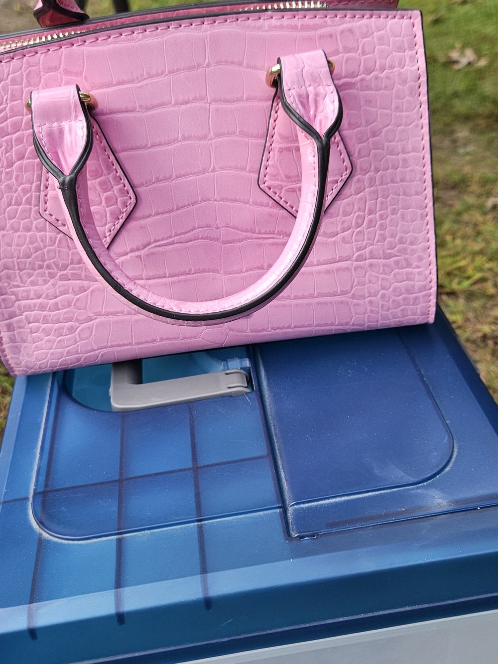 Aldo Pink Croc-Embossed Satchel Handbag